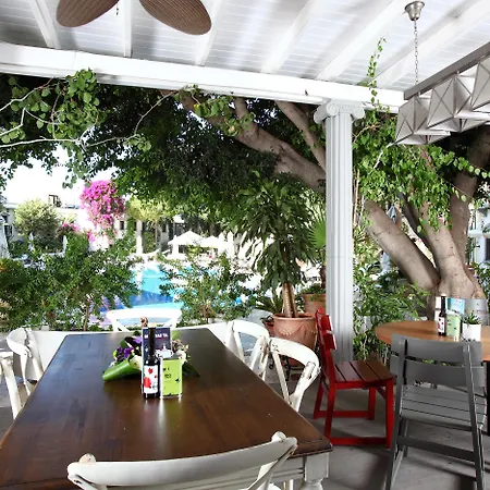 Doubletree By Hilton Marina Vista 博德鲁姆